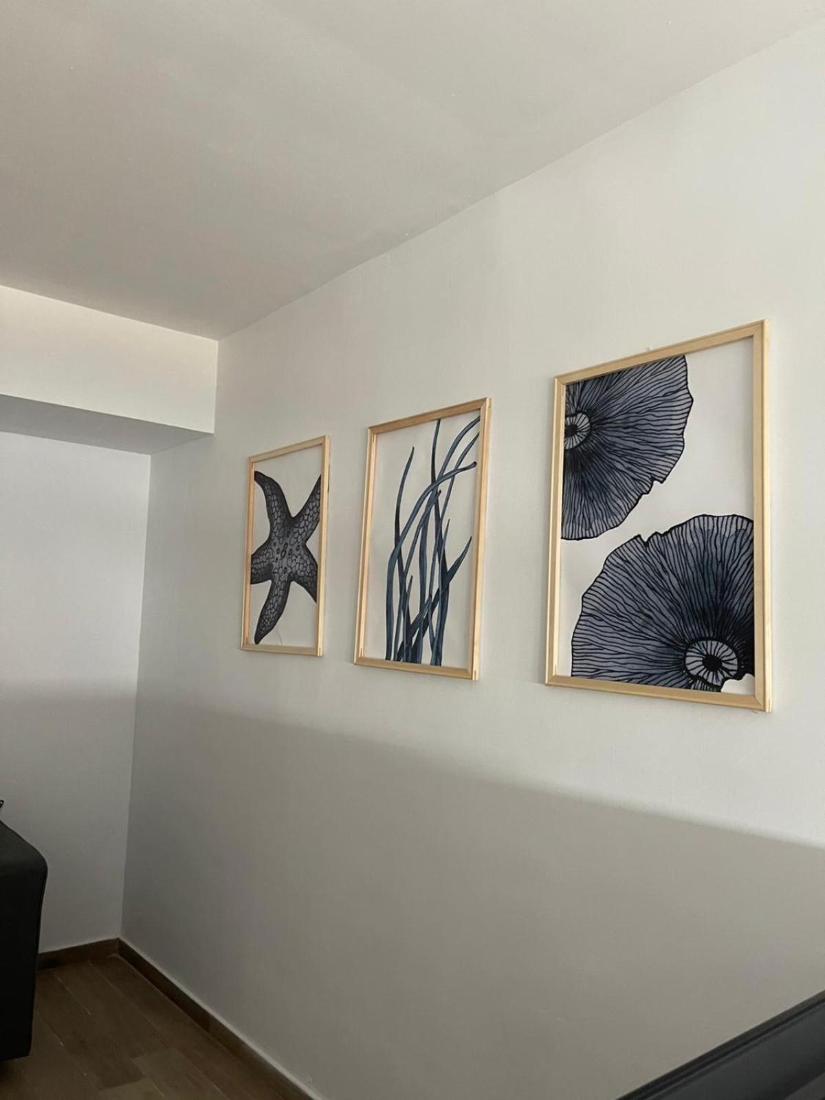 Apartamentos Matilda Коніль-де-ла-Фронтера Екстер'єр фото